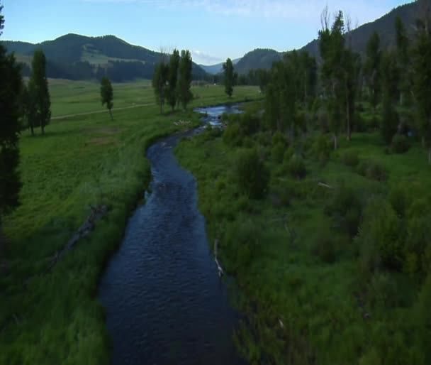 Foto aerea di Green Valley con River — Video Stock
