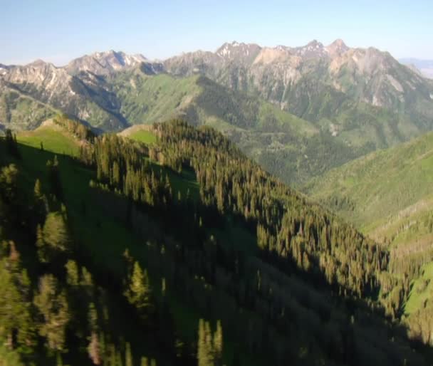 Aerial shot of green forest and mountains reveal — Stock Video