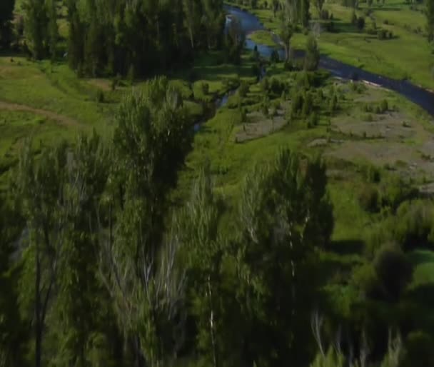 Повітряний постріл зелений долини, річки і ранчо — стокове відео