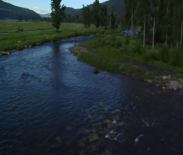 Vue aérienne de la forêt et de la montagne et des champs 