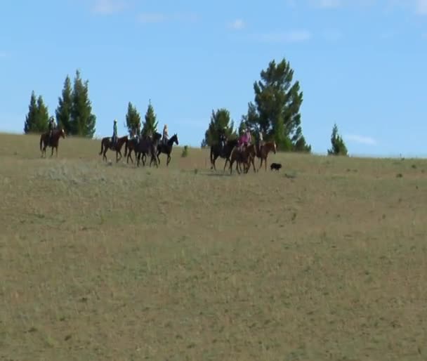 Antenn skott av cowboys på bergstopp — Stockvideo