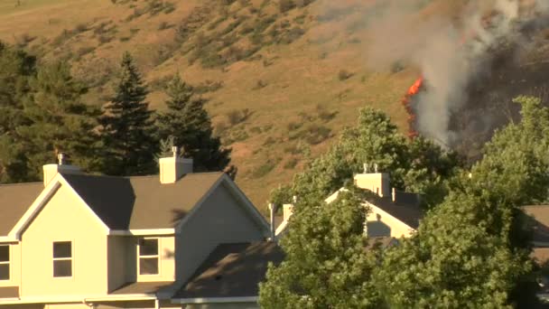 Лісова пожежа горить біля будинків — стокове відео