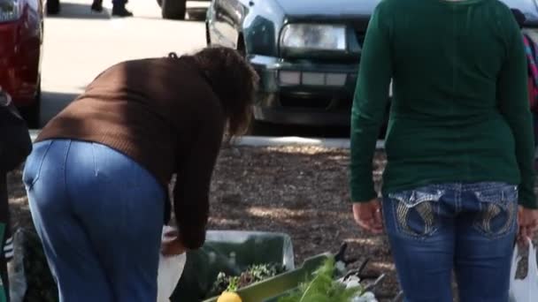 Les gens trient les légumes frais au marché fermier — Video