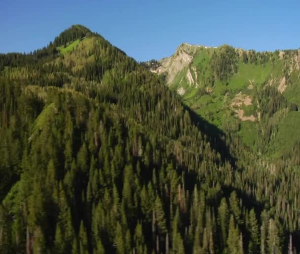 Luchtfoto van groene bossen en bergen — Stockvideo