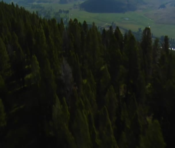 Luftaufnahme von grünem Tal, Fluss und Ranch in der Ferne — Stockvideo