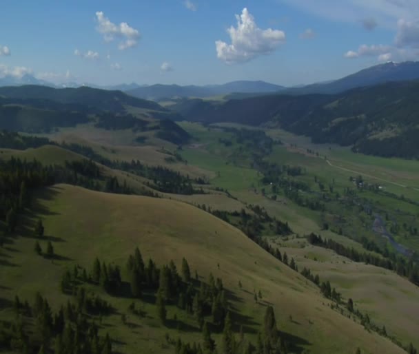 Aerial wide shot of Green Valley and forest — Stock Video