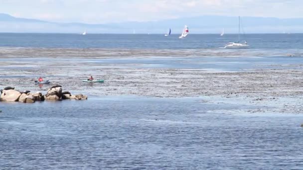 Kajakpaddlare exlpore havet, segelbåtar i bakgrunden — Stockvideo