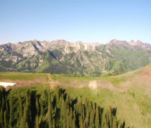 Воздушная съемка зеленых лесов, гор и снежных пятен — стоковое видео