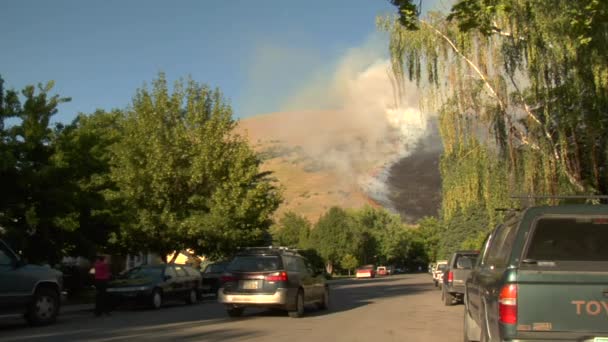 Forest fire burns in de buurt van wijk — Stockvideo