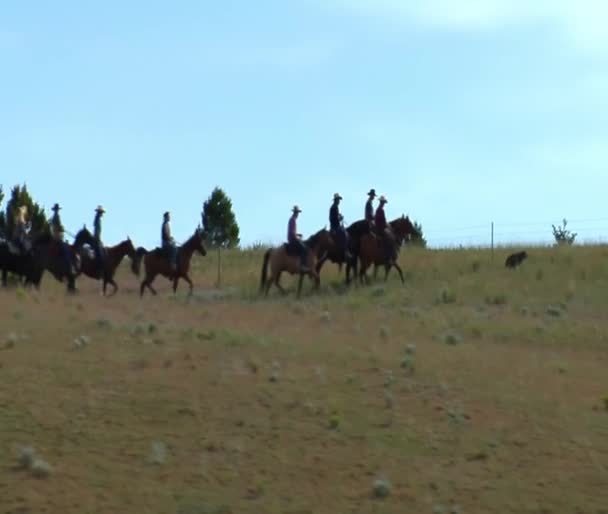 Aerial shot of cowboys on mountaintop — Stock Video