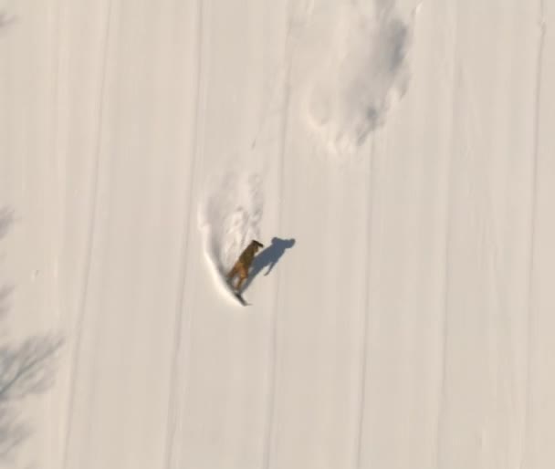 Luchtfoto van snowboarder — Stockvideo