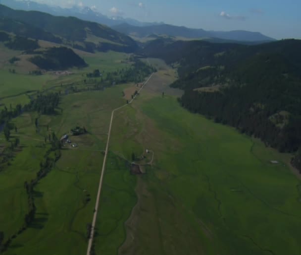 Vzdušný širokej záběr zelené údolí a Les — Stock video