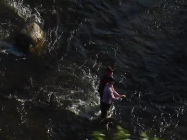 iki sinek balıkçı havadan çekim