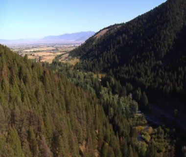 hava atış alanları ve ormanların ölü ağaçlar ile