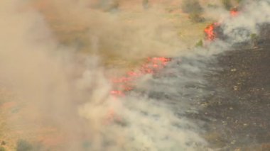 Orange flames from brushfire