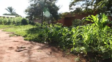 cornfields Afrika Köyü