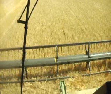 buğday hasat birleştirin POV