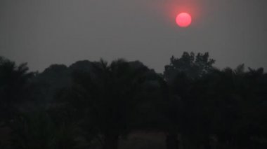 palmiye ağaçları ve kulübe ile Afrika günbatımı