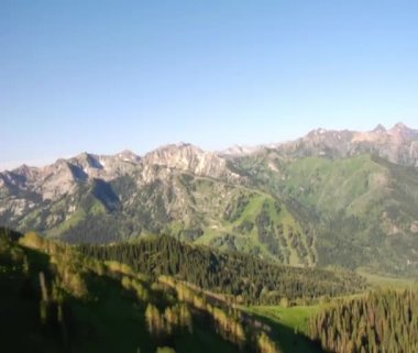 Yeşil orman ve dağ hava atış ortaya