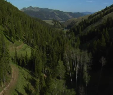 Yeşil Vadi Nehri ile havadan çekim