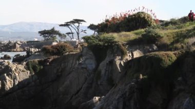 kayalık sahil monterey Körfezi