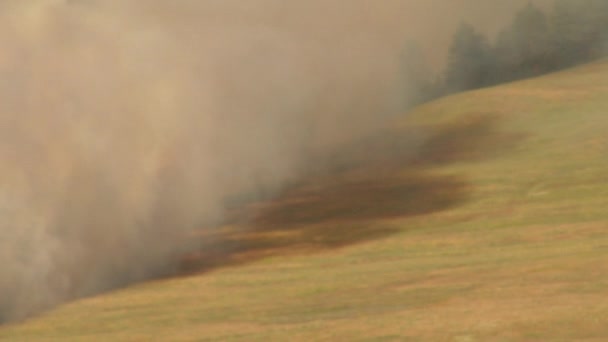 Queimaduras de incêndio florestal com helicóptero — Vídeo de Stock