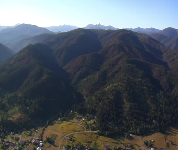 Colpo aereo di campi e foreste con alberi morti — Video Stock