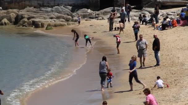 Les familles jouent sur la plage de sable fin — Video