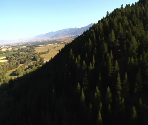 Tiro aéreo de floresta e montanha e campos — Vídeo de Stock