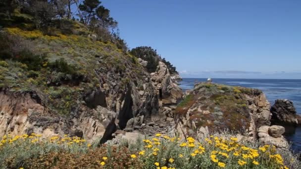 Punkt lobos state park Kalifornien — Stockvideo