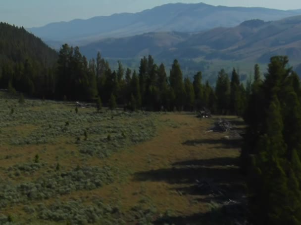 Aerial shot of sagebrush pastureland with mountains — Stock Video