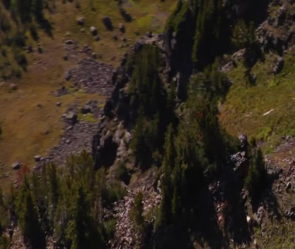 Antenn skott bergsgeten besättning — Stockvideo