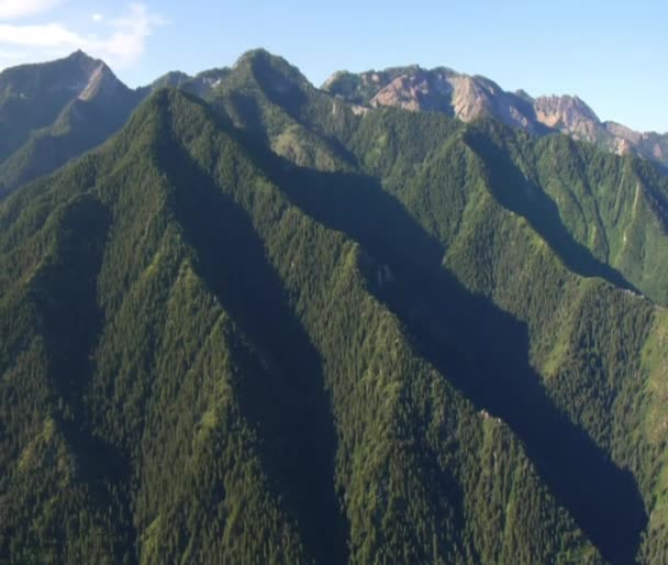 Luchtfoto van groene bossen en bergen — Stockvideo