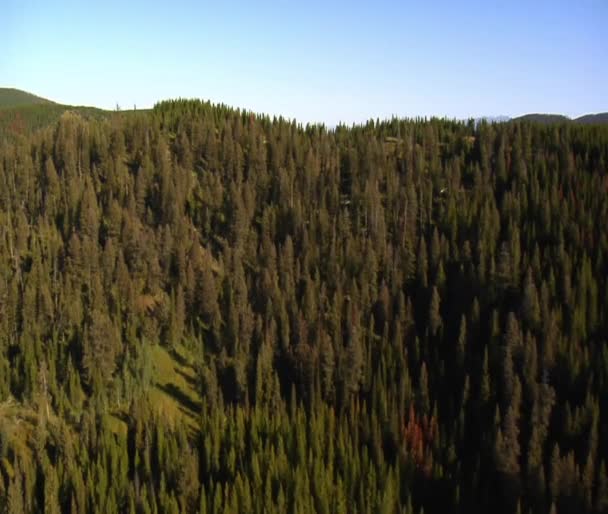 Foto aérea de bosque y montañas — Vídeos de Stock