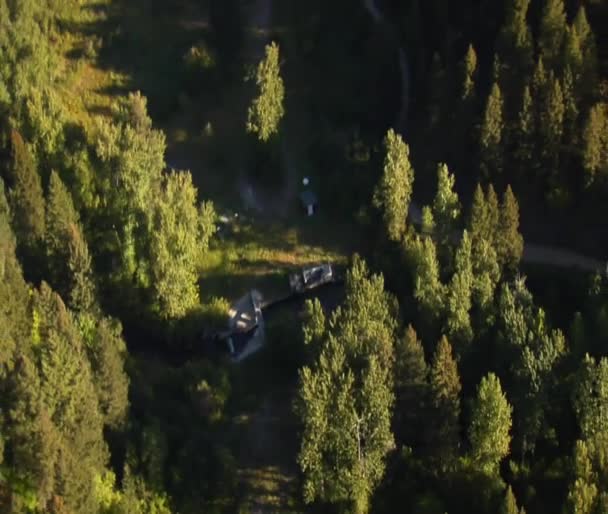 Aerial shot of forest at Canyon with waterway — Stock Video