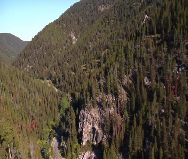 Disparo aéreo de cañón boscosa con carretera — Vídeos de Stock