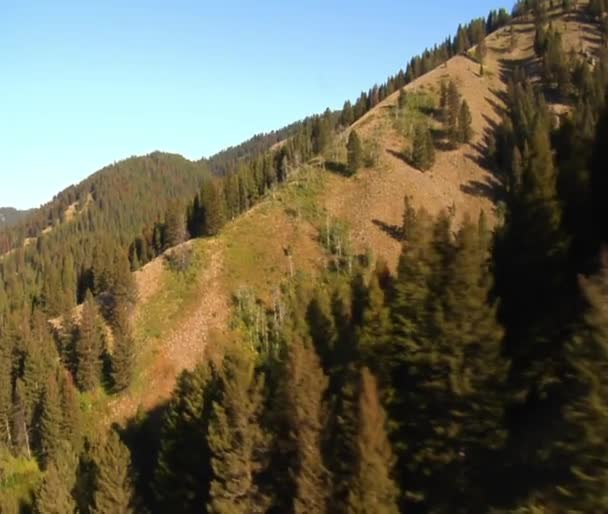 Antenn skott av skog och bergssidan — Stockvideo