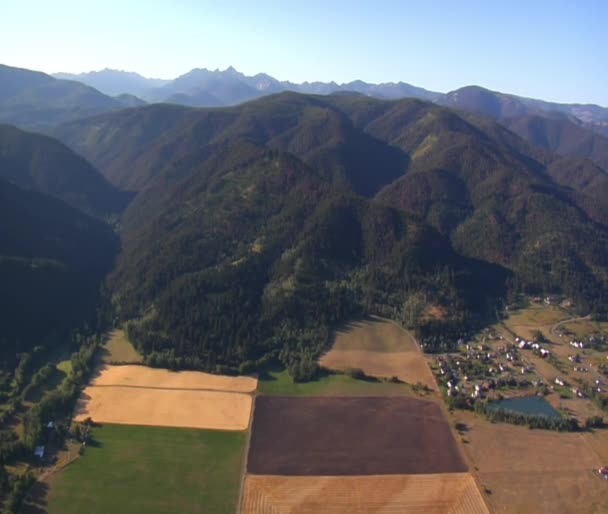 Colpo aereo di foresta e montagna e campi — Video Stock