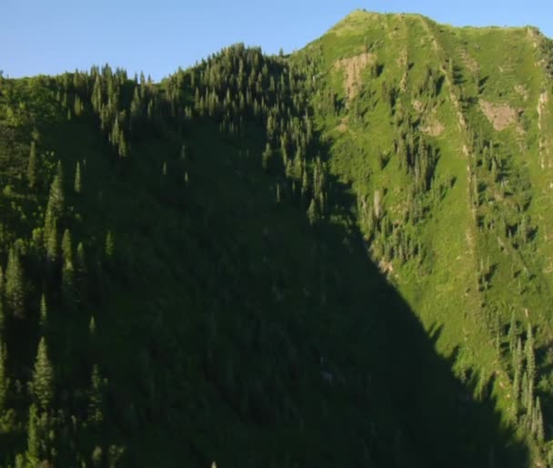 Tiro aéreo de floresta verde e montanhas — Vídeo de Stock