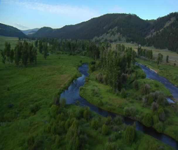 Foto aérea de Green Valley con río — Vídeo de stock