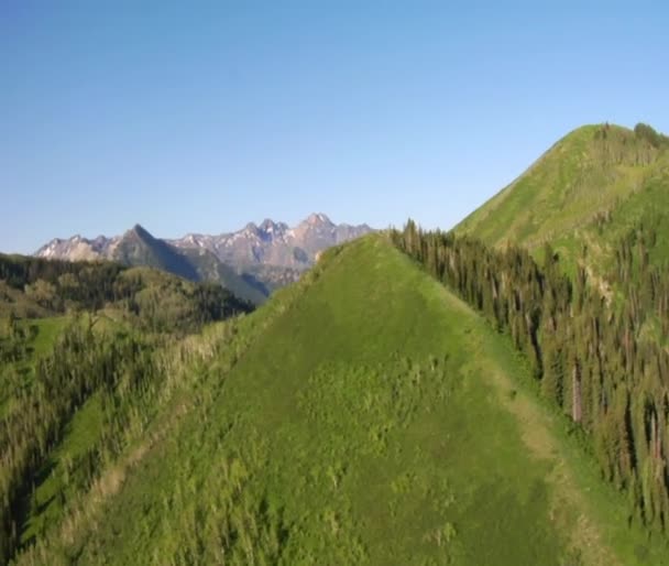 Foto aérea de bosque verde y montañas — Vídeos de Stock