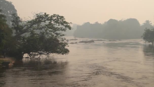 Ποτάμι ζούγκλα με ομίχλη και αλιείς — Αρχείο Βίντεο