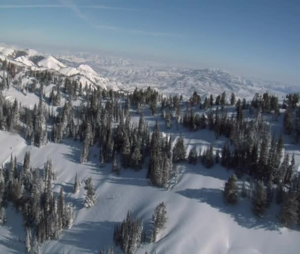 Luchtfoto van besneeuwde bergen — Stockvideo