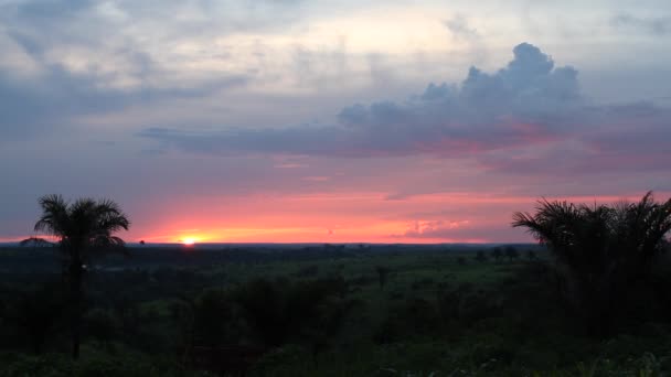 アフリカ日没-下に傾ける空からヤシの木に — ストック動画
