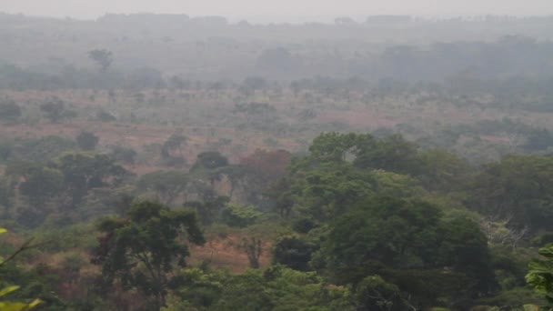 Savana africana com neblina e fumaça — Vídeo de Stock