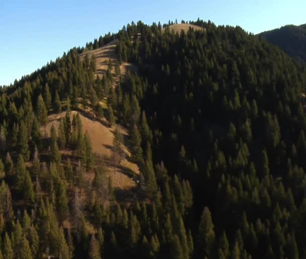 Luftaufnahme von Wald und Bergstadt in der Ferne — Stockvideo