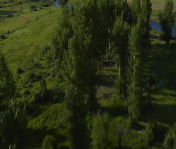 Luftaufnahme eines grünen Tals mit Fluss — Stockvideo