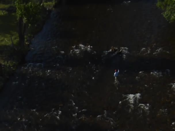 Aerial shot of a fly fisherman in River — Stock Video