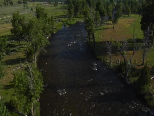 Luchtfoto van rivier van bovenaf — Stockvideo