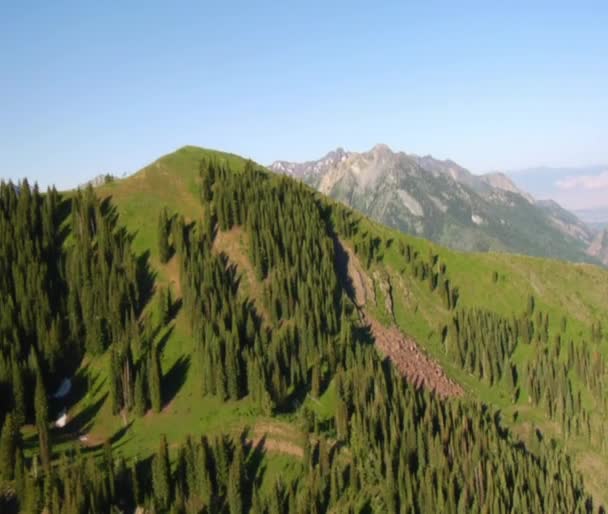 Colpo aereo di foresta verde e montagne con sentiero — Video Stock